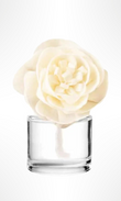 Vanilla Bean Buttercream Scentsy Flower