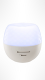 Fleur Gray Deluxe Diffuser
